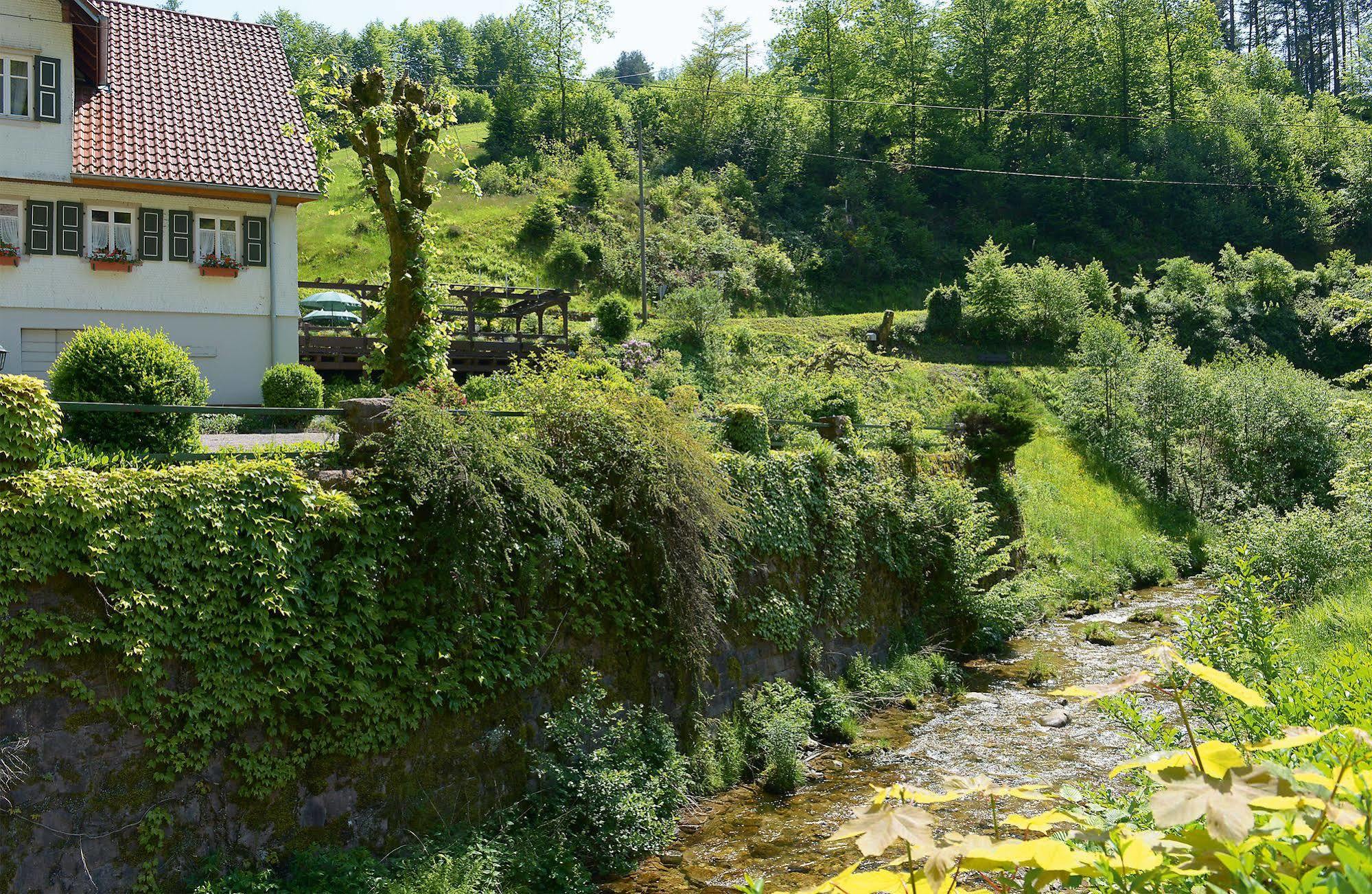Hotel - Gasthof Blume Oppenau Exterior photo